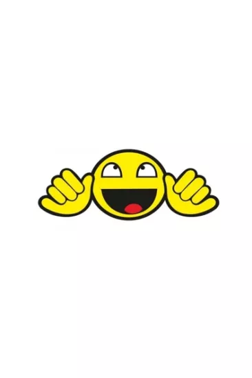Ce-Ka Yeni Nesil Gülenyüz Araç Sticker